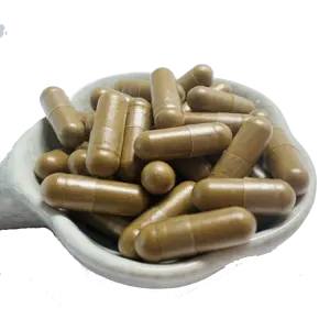 Bulk Pianta Capsule 400mg fungo Reishi capsule di polvere