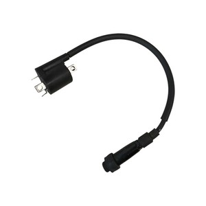 Bobina di Accensione per Moto Compatibile con Yamaha XMAX 300 2017 - B74H23100100 - Product Image 1