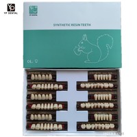 Dents en résine acrylique multicouche OEM d'usine, dents synthétiques en résine acrylique composite pour prothèses dentaires