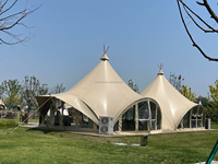 Dôme Céleste en PVC Monocouche Quatre Saisons pour Camping, Team Building, Camp, Bar, Restaurant, Tente Landmark avec Structure en Acier