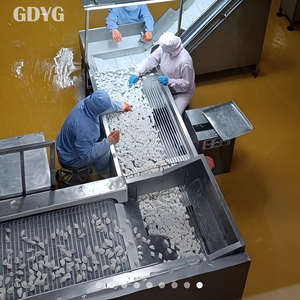 Ravioli Congelati Tradizionali Cinesi OEM, Alimenti <span class=keywords><strong>Surgelati</strong></span> Pronti da Riscaldare per Catering, Vendita all'Ingrosso in Confezioni - Product Image 4