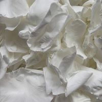 Vente d'usine - Pétales de fleurs naturelles parfumées, blanches, biologiques et préservées, couleurs rose et bleu, boîte carrée de Noël 10g, confettis de mariage