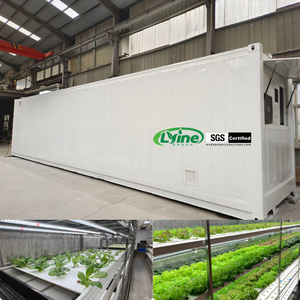 Sistema de Cultivo Hidropónico Vertical en Contenedores, Solución Hidropónica NFT en Contenedor de 40hq para Lechuga, Azafrán, Albahaca y Espinaca - Product Image 2