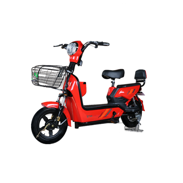 Electric E Bicycle
