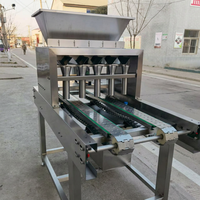 Machine automatique de saupoudrage de pâtisserie de précision pour graines de citrouille et noix, avec moules personnalisés