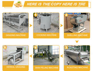 Commercio All'ingrosso Prezzo Macchina di Elaborazione Anacardi - Product Image 4