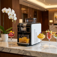 Machine à smoothies glacés électrique pour usage hôtelier, idée cadeau originale pour les gourmets, pour toutes les boissons liquides congelées, compacte, sans BPA