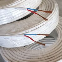 Cable Eléctrico Plano Trenzado con Aislamiento de PVC y Cobre RVVB de 2 Núcleos, Estándar Nacional, para Uso Doméstico y en Edificios, 1/1.5/2.5/4/6mm