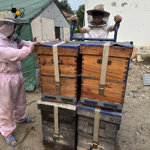 Carro de vehículo de colmena de apicultura, equipo móvil, transporte de colmena de abejas, carro móvil eléctrico Manual, horquillas, carretilla elevadora - Product Image 2