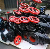 Vanne à double disque en fonte grise Z44T PN10 avec disque en acier pour l'industrie chimique DN50 DN300 pour l'eau et la vapeur