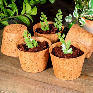 Eco2go Vietnam Eco-friendly & Biodegradable with Environment - Manufacturer Direct Natural Fiber Nursery Pot - Product Image 1