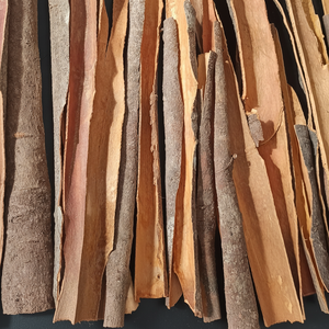 BÂTON DE CANNELLE CASSIA CASSÉ CASSÉ CASSÉ DU VIETNAM POUR L'EXPORTATION 2% 2.5% 3% 3.5% CONTENU D'HUILE - Product Image 1