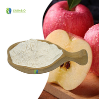 Poudre de fibres de pomme soluble dans l'eau, qualité alimentaire, extrait végétal, extrait de pomme