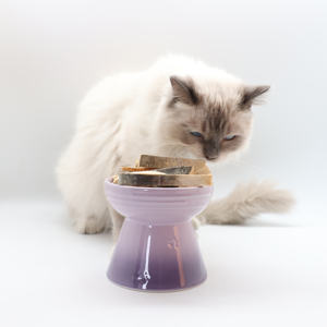 بيع بالجملة سمك السلمون المجفف المجمد مع علاج الحيوانات الأليفة لتصدير الحيوانات الأليفة بالجملة مكمل منخفض السعر علاج القط للكلاب - Product Image 6