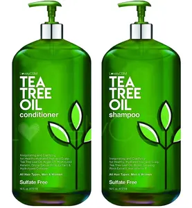 Wholesale natural hair grow hair loss organic ginger aloe vera rosemary essential mint tea tree oil shampoo for men and women
