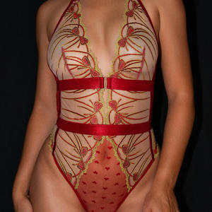 Conjunto de lencería sexy de dos piezas con medias, mono transparente con cuello halter y bordado rojo en contraste, moldeador del cuerpo, venta al por mayor - Product Image 6