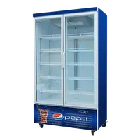 2021新着ホットセール商用冷蔵庫飲料クーラービトリーナネベラ