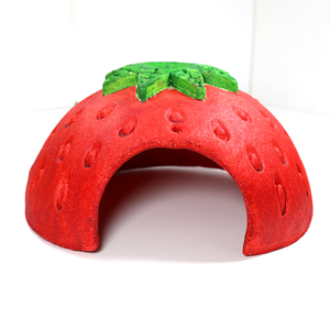 OEM Factory Custom Mini Strawberry Picnic Hut Small Animal Treat Supplies Pet Parties Edible Party Hut Nest Cave for Pets - Product Image 4