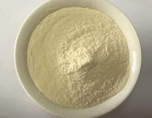 China Supply Factory Price Vital Wheat Gluten Powder 25kg