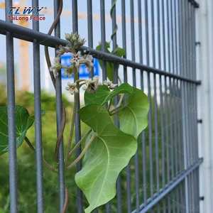 Tlwy באיכות גבוהה עיצוב מותאם אישית 868 656 מוט רשת רשת תיל מרותך <span class=keywords><strong>3ft</strong></span> לוח גידור עבור gerרבים - Product Image 4