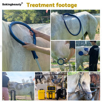 Appareil de thérapie PEMF pour chevaux avec écran tactile couleur de 7 pouces, équipement portable de magnétothérapie équine pour usage professionnel