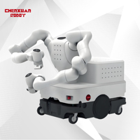 Robot à double bras à 7 axes avec plateforme relevable, puissance de 1 kW, 220 V, pour l'assemblage complexe, la recherche multimodale