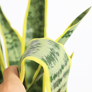 Plantas artificiales <span class=keywords><strong>de</strong></span> serpiente <span class=keywords><strong>Sansevieria</strong></span>, planta <span class=keywords><strong>de</strong></span> plástico con hojas verdes para el hogar, suelo interior, decoraciones <span class=keywords><strong>de</strong></span> oficina - Product Image 5