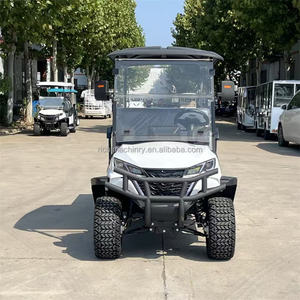 Voiture de golf chinoise 2026 avec 6 places, buggy 4 places, voiture de tourisme tout-terrain, voiture de golf de luxe à vendre - Product Image 6