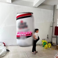 La promotion publicitaire gonflable peut convenir, sac à dos gonflable avec logo personnalisé pour l'activité du centre commercial, le défilé, le spectacle sur scène
