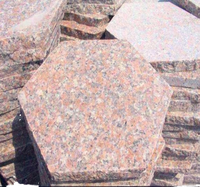 Briques creuses en béton autoclavé modernes et industrielles en gros, pavés de granit pour allée extérieure, briques réfractaires