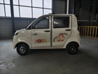 Voiture électrique miniature pour adultes, vente directe d'usine, vitesse de 35 km/h, batterie au plomb-acide, capacité 4 personnes