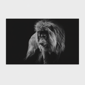 Arte Fotográfico de León Majestuoso: Decoración de Pared en Lienzo Impreso, LIENZO ENROLLADO - Product Image 2