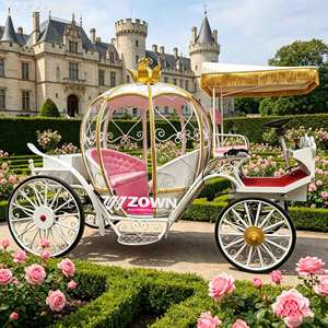 Carroza Eléctrica sin Caballos con Decoración LED para 6 Personas, Vehículo Turístico para Bodas, Parques Temáticos y Desfiles - Product Image 1
