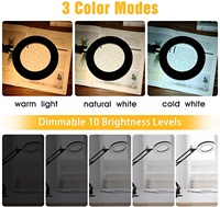 Modern Fashion Design Eye-caring Clip-on Usb Charging Office Desk Lamp Brightness Adjustable Led Desk Lamp with Magnifier