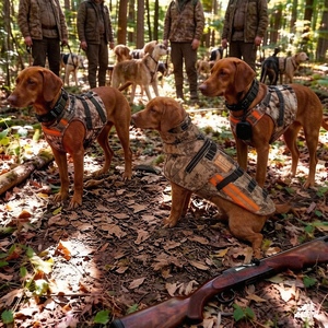 <span class=keywords><strong>Gilet</strong></span> anti-coupure et anti-morsure Hound Armor Hunting Dogo <span class=keywords><strong>pour</strong></span> Pit Bull, tissu <span class=keywords><strong>Kevlar</strong></span> matelassé, toutes saisons - Product Image 5