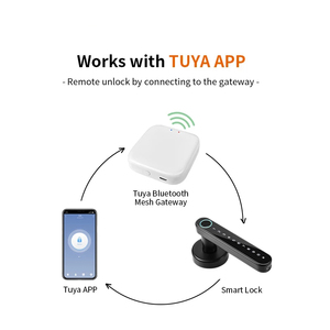 Tuya Bluetooth Thông Minh Vân Tay Tay Tay Nắm Cửa Khóa Mật Khẩu Điện Tử Ứng Dụng Từ Xa Mở Khóa Khách Sạn Căn Hộ Văn Phòng Cho Thuê Nhà - Product Image 6