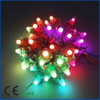Point lumineux pixel adressable WS2811 5V/12V RGB couleur magique étanche IP68 50pcs/anneau pour la lumière de module LED de Noël