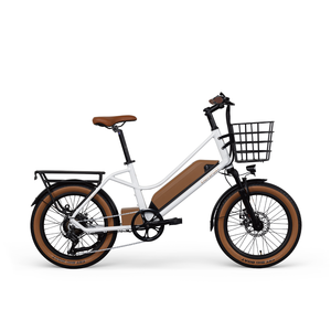 Bicicleta Eléctrica Urbana <span class=keywords><strong>EZREAL</strong></span> de 350W, 20 Pulgadas, Motor Trasero, 36V, Vehículo de Reparto Electrónico Inteligente, Batería Integrada de 14Ah - Product Image 3