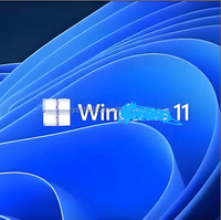 Licence à vie pour système d'exploitation Windows 10/11 Pro/Home, activation 100% en ligne, utilisation mondiale, stock disponible