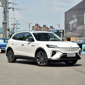 En Stock, nouveau véhicule d'énergie <span class=keywords><strong>Marvel</strong></span> R 2021, entraînement arrière, édition Standard, pas cher, <span class=keywords><strong>voiture</strong></span> électrique, <span class=keywords><strong>prix</strong></span> Everbright Suv - Product Image 4