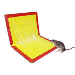 Trampa de ratón desechable de alta calidad, suministro de fábrica respetuoso con el medio ambiente, tablero de papel de trampa de pegamento, 30x20,5 cm, 100g - Product Image 6