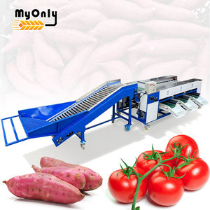 Trieuse de fruits MY : Trieuse de qualité et de taille pour avocats, oignons, pommes de terre, mangues et pommes (petite taille) - Product Image 1