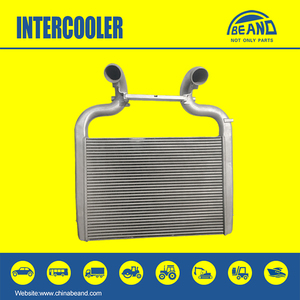 <span class=keywords><strong>Intercooler</strong></span> BPIC-1131 1725348 1643074 5989000402 1780140 1672896 pour <span class=keywords><strong>DAF</strong></span> - Product Image 3