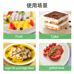 Assiettes en papier jetables sur le thème du dinosaure bleu, 9 pouces, avec plateau, pour fête, marque FanShi, 10 pièces, <span class=keywords><strong>vaisselle</strong></span> de pique-nique, fabriqué en Chine - Product Image 5