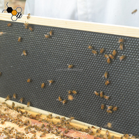 20er-Pack New Langs troth Medium Deep Wooden Bee Frame mit Plastic Bee Foundation für die Bienenzucht