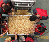 Nieuwe commerciële, goed verkopende, automatische lijn voor het frituren van verse aardappel-frites voor groenteverwerkingsbedrijven