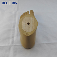 Prothèses de pied artificiel en polyuréthane léger et stable, pièces de prothèse de jambe, pied prothétique Sach