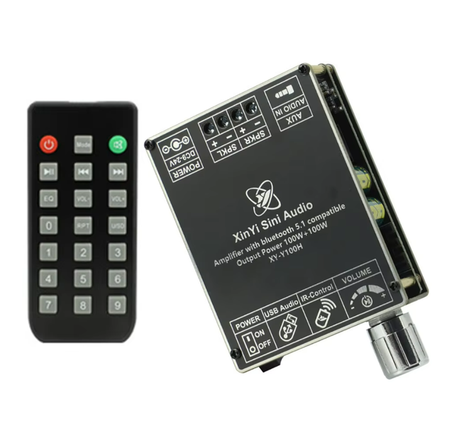Y100H Hifi-Level 100W*2 Stereo Digital Power Amplifier Module TPA3116 With Remote Control