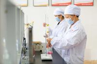 Gélatine en capsules, poudre de gélatine de qualité alimentaire pour la production de capsules, matériau d'encapsulation pour vitamines et suppléments en gélules molles