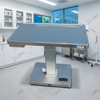 Electric Reusable Veterinary Instrument Vet Operating Table Lifting Scale 304 Stainless Steel Silver for Dog Cat Exam Treatment